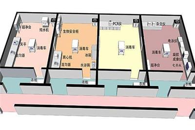 建设新冠PCR实验室设计预算多少