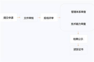 评审过程
